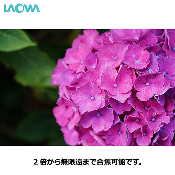 ラオワ LAOWA 58mm F2.8 2x Ultra Macro APO Nikon Z