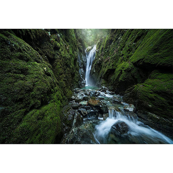 LAOWA 12-24mm F5.6 Zoom Lマウント