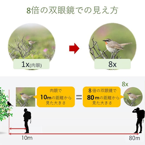 キヤノン BINO8X20IS 手ブレ補正機能付き双眼鏡 8×20 IS 3639C001 ※欠品:ご注文後、約3ヶ月かかります