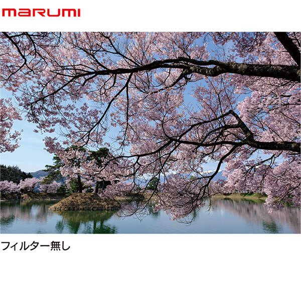 マルミ光機 プライム プラズマ・スパッタリング C-PL 49mm