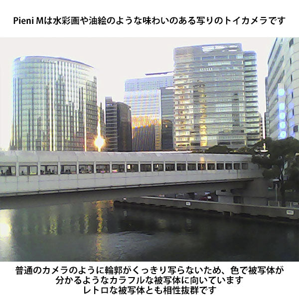 ケンコー・トキナー DSC-PIENI M GB トイカメラ Pieni M グレイッシュブルー