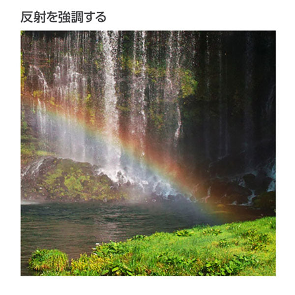 ハクバ CF-SWCP52 S(スクリュー)ワイドサーキュラーPLフィルター 52mm