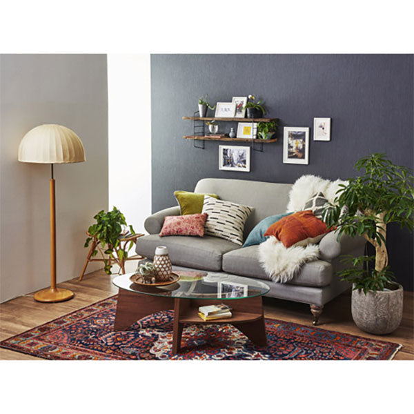 ハクバ FCHL-P01WT チュルル フォトフレーム P01 ホワイト