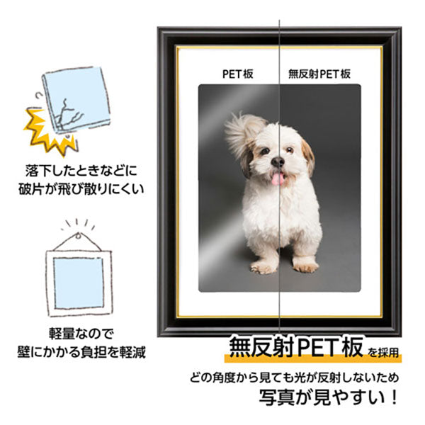 ハクバ FWIY-TBP 肖像額縁 入山 太子判 無反射PET