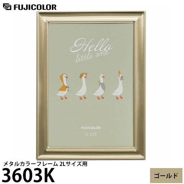 フジカラー 3603K メタルカラーフレーム 2Lサイズ用 ゴールド