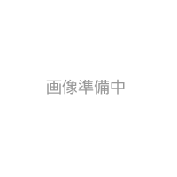 Lastolite LL LU2477BIE トライフラッシュキット(80cmアンブレラ&マンフロットスタンド)