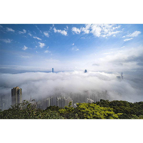 LAOWA 9mm F2.8 ZERO-D ソニー Eマウント用