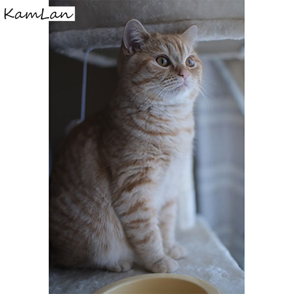 KamLan Optical KAMLAN KL 32mm F1.1 マイクロフォーサーズマウント用