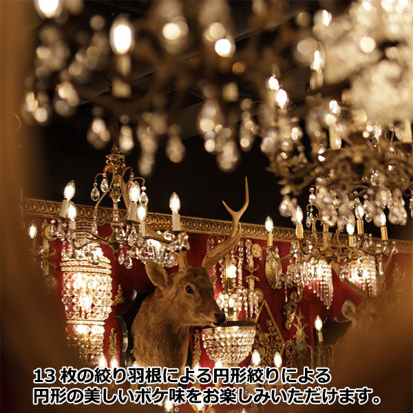 KamLan Optical KAMLAN 55mm F1.4 SONY FEマウント用