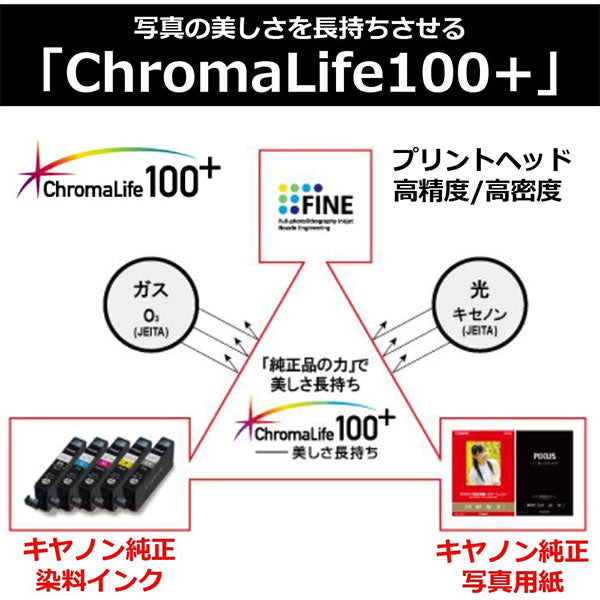 キヤノン PT-201KG50 写真用紙・光沢 プロ プラチナグレード KGサイズ 50枚 8666B003
