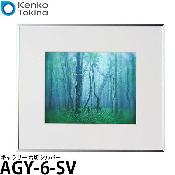 ケンコー・トキナー AGY-6-SV ギャラリー 六切 シルバー