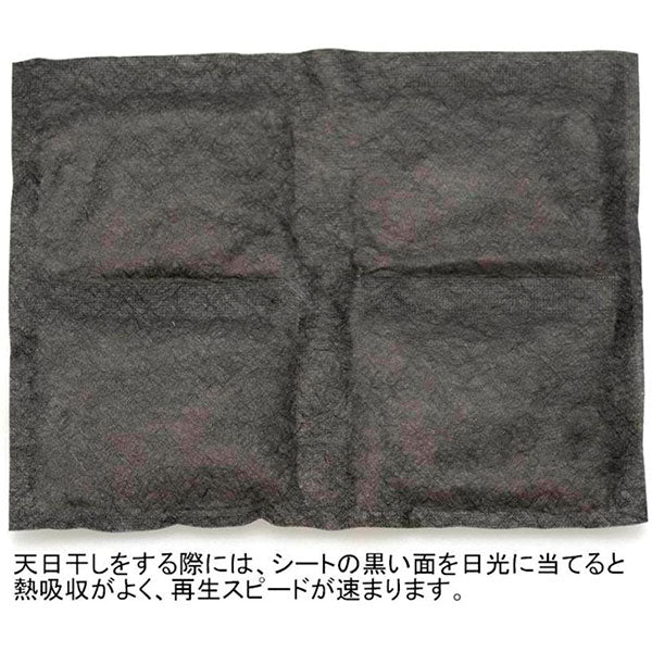 ケンコー・トキナー DF-BW301 強力乾燥剤 ドライフレッシュ シートタイプ 1枚入