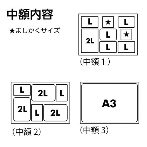 ハクバ FWLGC-BRA3T リエージュ シャリテ A3多面 フォトフレーム ブラウン