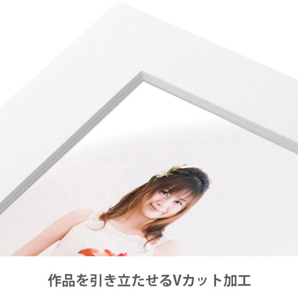 ハクバ MCPS-LWT カラーペーパースタンド L ホワイト ※欠品:納期未定(4/22現在)