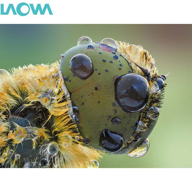 LAOWA 25mm F2.8 2.5-5X ULTRA MACRO ソニーFEマウント用