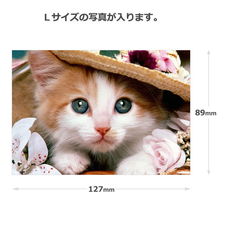 キング L100 レザーポケットアルバム Lサイズ 100枚収納 レッド