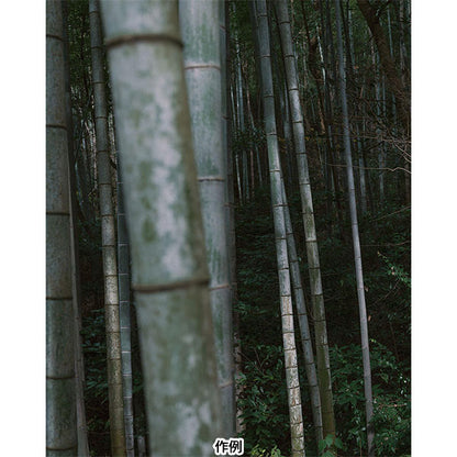 シグマ 35mm F1.4 DG II | Art ソニーEマウント用