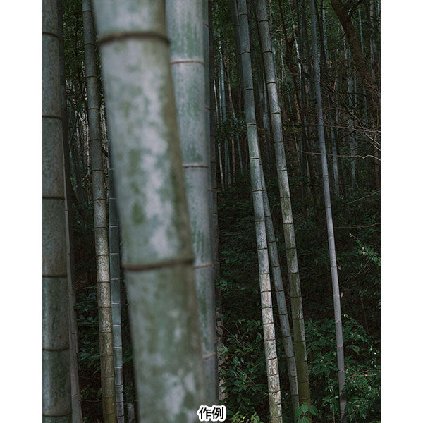 シグマ 35mm F1.4 DG II | Art ライカLマウント用
