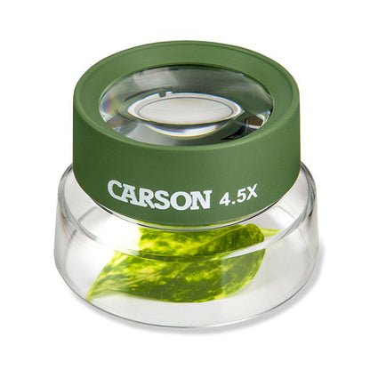 エツミ CARSON-HU-55 Carson バグルーペ 4.5倍