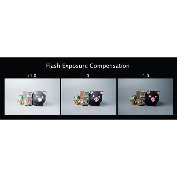 LightPix Labs フラッシュQ FM2 小型クリップオンフラッシュ GN20 シルバー