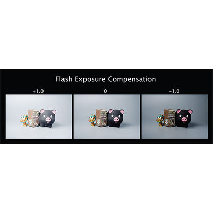 LightPix Labs フラッシュQ FM2 小型クリップオンフラッシュ GN20 シルバー