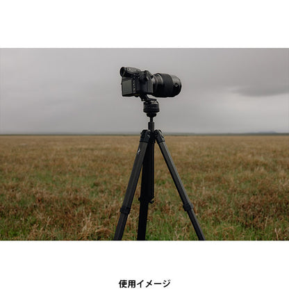ピークデザイン PT-L-BK-1 プロライトトライポッド カーボン三脚 4段 ブラック