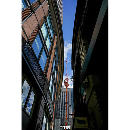 コシナ フォクトレンダー APO-LANTHAR 28mm F2 Aspherical ソニーEマウント用 ※欠品：納期未定2026年4月以降（12/1現在）