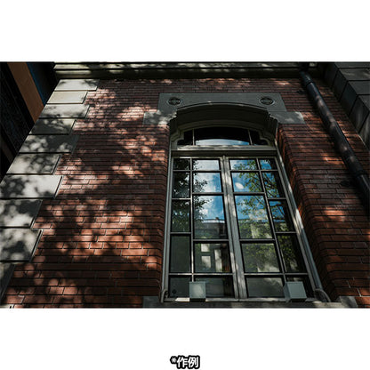 コシナ フォクトレンダー APO-LANTHAR 28mm F2 Aspherical ソニーEマウント用 ※欠品：納期未定2026年4月以降（12/1現在）