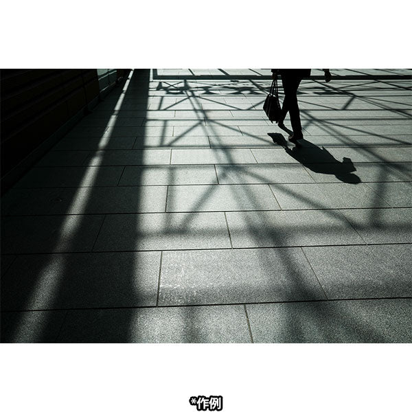 コシナ フォクトレンダー APO-LANTHAR 28mm F2 Aspherical ソニーEマウント用 ※欠品：納期未定2026年4月以降（12/1現在）