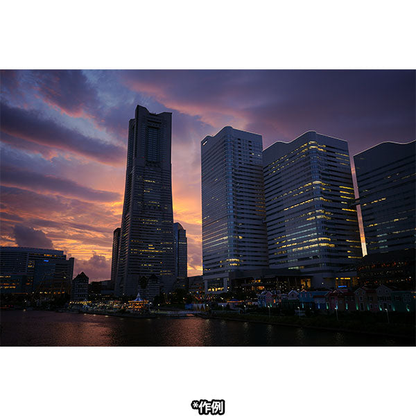 コシナ フォクトレンダー APO-LANTHAR 28mm F2 Aspherical ソニーEマウント用 ※欠品：納期未定2026年4月以降（12/1現在）