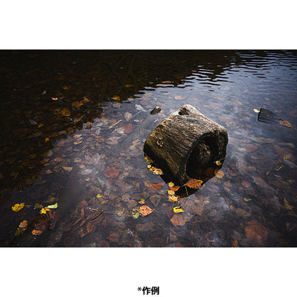 コシナ フォクトレンダー  APO-LANTHAR 28mm F2 Aspherical ニコンZマウント用
