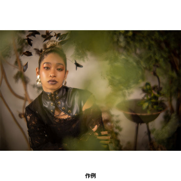 コシナ フォクトレンダー PORTRAIT HELIAR 75mm F1.8 キヤノンRFマウント用