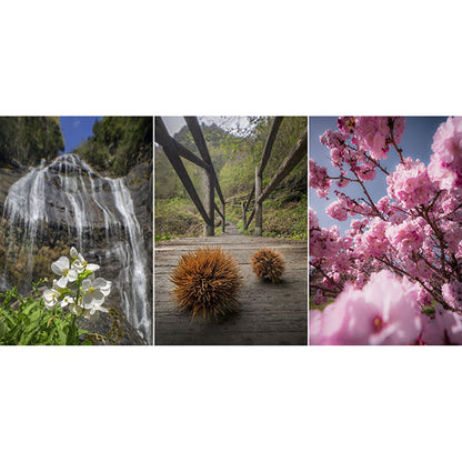 LAOWA 15mm F4.5 0.5x Wide Angle Macro（Auto） Nikon Zマウント [自動絞り] ※ご注文後、約1～2ヶ月かかります