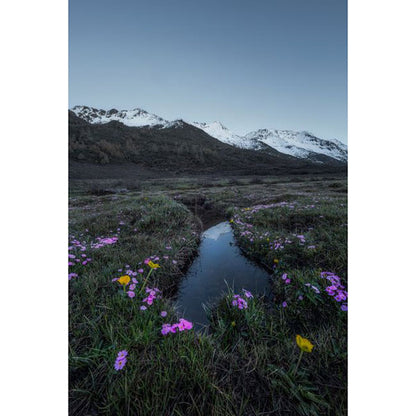 LAOWA 12mm F2.8 Lite Zero-D FF（AF）Nikon Zマウント ※ご注文後、約1ヶ月かかります