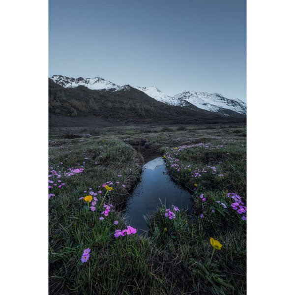 LAOWA 12mm F2.8 Lite Zero-D FF（MF）Canon RFマウント ※ご注文後、約1ヶ月かかります