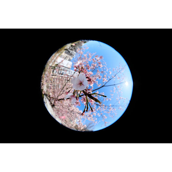 LAOWA  4.5-10mm f/2.8 CF Zoom Fisheye SONY Eマウント ※ご注文後、約1ヶ月かかります