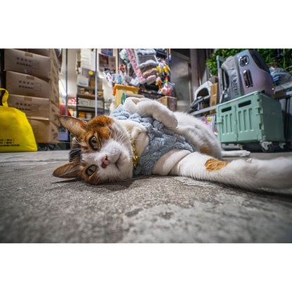 LAOWA 15mm F5 Cookie FF ブラック Nikon Zマウント
