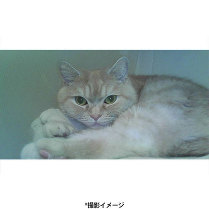 サイトロン NOA0002 ミニデジタルトイカメラ Cookie ブラック