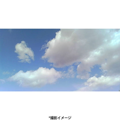 サイトロン NOA0002 ミニデジタルトイカメラ Cookie ブラック