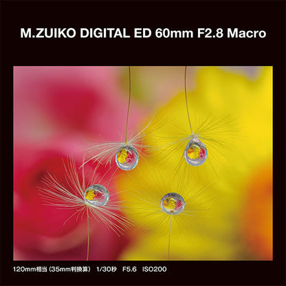 OM SYSTEM M.ZUIKO DIGITAL ED 60mm F2.8 Macro ※欠品：8月下旬以降の発送