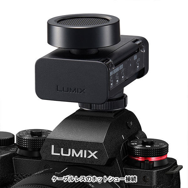 《3月19日発売予定》 パナソニック DMW-DMS1 デジタルガンマイクロホン 【予約】