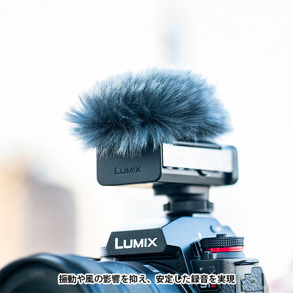 《3月19日発売予定》 パナソニック DMW-DMS1 デジタルガンマイクロホン 【予約】