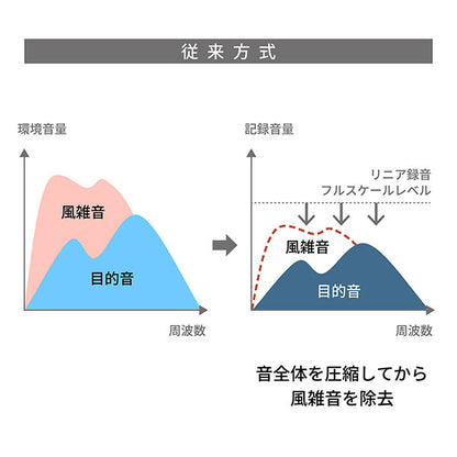 《3月19日発売予定》 パナソニック DMW-DMS1 デジタルガンマイクロホン 【予約】