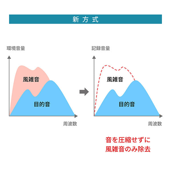《3月19日発売予定》 パナソニック DMW-DMS1 デジタルガンマイクロホン 【予約】