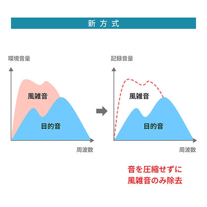 《3月19日発売予定》 パナソニック DMW-DMS1 デジタルガンマイクロホン 【予約】