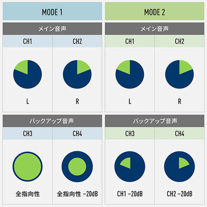 《3月19日発売予定》 パナソニック DMW-DMS1 デジタルガンマイクロホン 【予約】