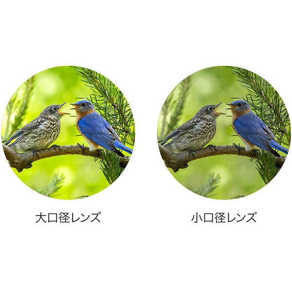 ニコン 双眼鏡 MONARCH M5 10x50