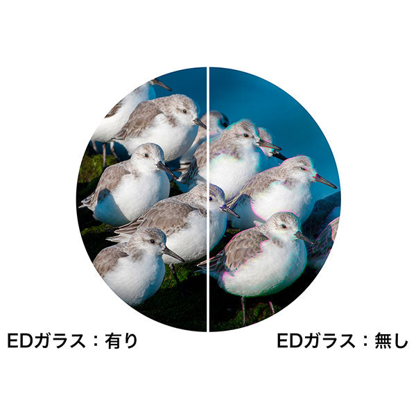 ニコン 双眼鏡 MONARCH M5 10x50