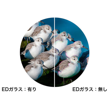ニコン 双眼鏡 MONARCH M5 10x50