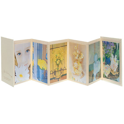 ナカバヤシ ア-PAJ-KG-3 アコーディオンポケットアルバム KG判1段12枚 ホワイト